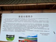 -洛龙公园
