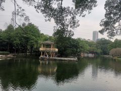-晓港公园
