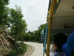 -沂蒙山旅游区云蒙景区(蒙山国家森林公园)