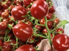 -78线水果批发市场精品厅五号