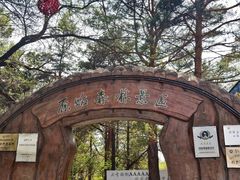 -大青沟风景区