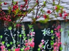 -桃花涧