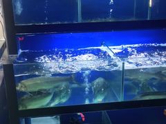水产区-李东农庄(中南百草园地标店)