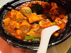 -陈麻婆豆腐总店