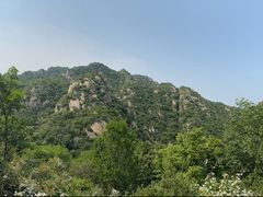 -大岭沟猕猴桃谷风景区