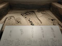 -上海崧泽遗址博物馆