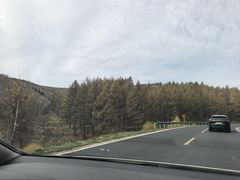 -御道口草原森林风景区