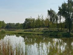 -东郊湿地公园