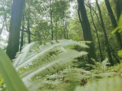 -广州市白云山风景名胜区