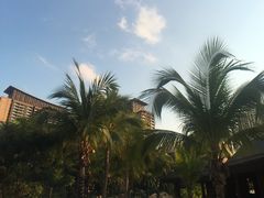 -亚马逊丛林水乐园