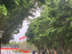 -深圳国际园林花卉博览园