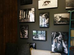 -百好乐宠物友好餐厅(朝外大街店)