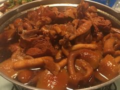 -京北渔家傲