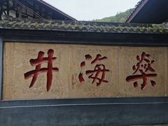 -燊海井