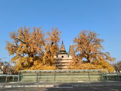 -北京石刻艺术博物馆(五塔寺)