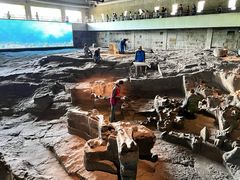 -自贡恐龙博物馆