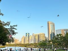 -万绿园