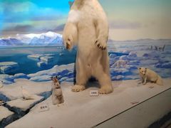 -陕西自然博物馆