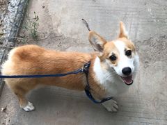 -苏记奶酪(二中店)