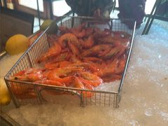 -怡聚轩全日制自助餐厅(大中华喜来登酒店)