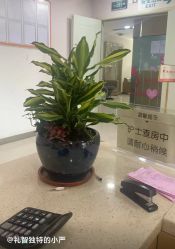 -深圳港龙妇产医院