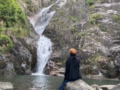 -海南霸王岭国家森林公园