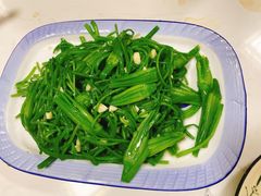 -菌之家·专业纯野生菌火锅·特色炒菌
