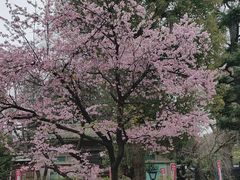 -上野公园花园稻荷神社(忍岡稲荷神社)