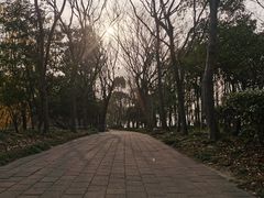 -长广溪湿地公园