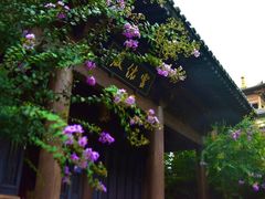 -禅宗三祖寺