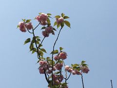 -大宁灵石公园西门票处