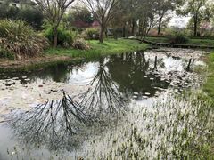 -西湖外事游船(花港观鱼码头)