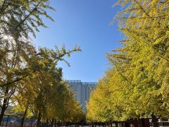 -辽宁大学(崇山校区)
