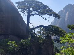 -黄山风景区