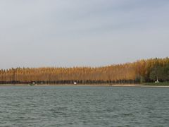 -香山公园