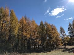 -塞罕坝国家级自然保护区