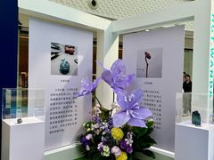 -万达广场(南昌红谷滩店)