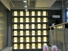 -line friends(明洞旗舰店)