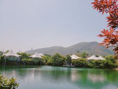 -帐篷客·溪龙茶谷度假酒店