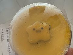 -元祖食品GANSO(阳光店)