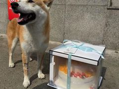 -美联众合爱康动物医院•复杂内科•肿瘤科•牙科•腔镜诊疗中心