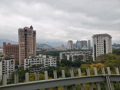 -福道
