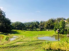 -四季酒店下午茶