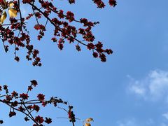 -东风公园