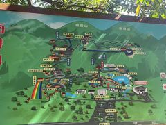 -南丹山森林王国
