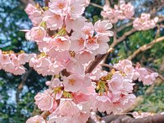 -静安雕塑公园