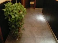-芍药居北里