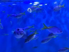 -正佳极地海洋世界