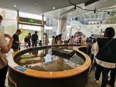 -西海国立公园九十九岛水族馆
