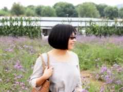 -北京东方普罗旺斯薰衣草庄园